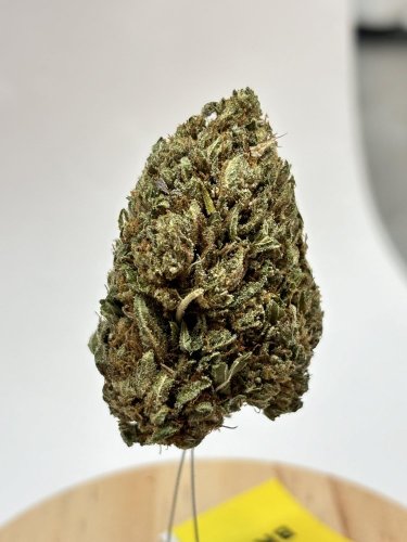 CBD květ konopí Bubba Kush - Amerika