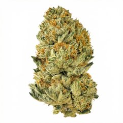 CBG květ konopí The White - unikátní sativa