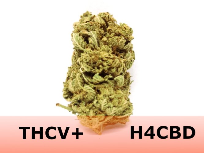 THCV květ konopí Lemon haze