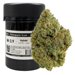 CBD květ konopí Pineapple Kush - legendární BZ1