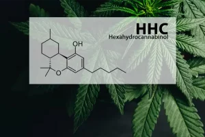 Co je HHC
