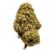 CBD Cannabidiol