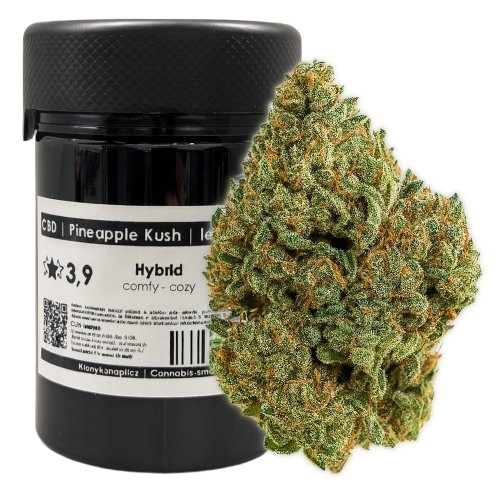 CBD květ konopí Pineapple Kush - legendární BZ1 - *Balení květu:: 25g - sáček EKO | Rh&O2