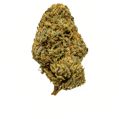 CBD květ konopí Royal OG - Amerika