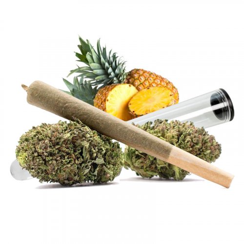 Preroll joint HHC - ANANAS