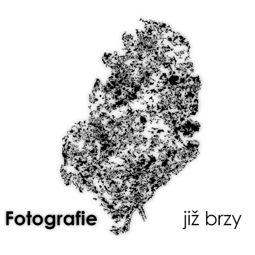 CBD květ konopí Amnesia - Swiss indoor