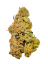 CBD květ konopí Kerosene Haze - Czech indoor