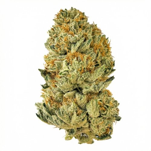 CBG květ konopí The White - unikátní sativa