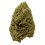 CBD květ konopí Bubba Kush - Amerika - Hmotnost: 5kg