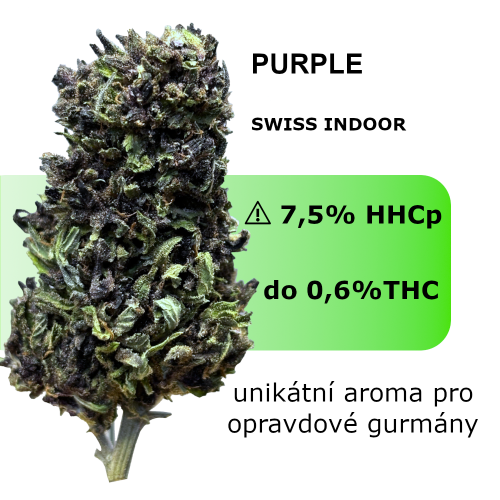 HHCp květ konopí Purple - Hmotnost: 1g