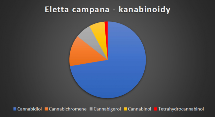 Eletta Campana - feminizovaná semena - Balení semen:: 10.000ks