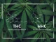 HHC vs. THC: Jaké jsou rozdíly a v čem se podobají?