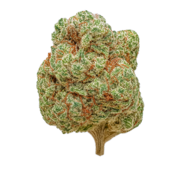 CBD květ konopí Orangello CALI - bulk od 100g