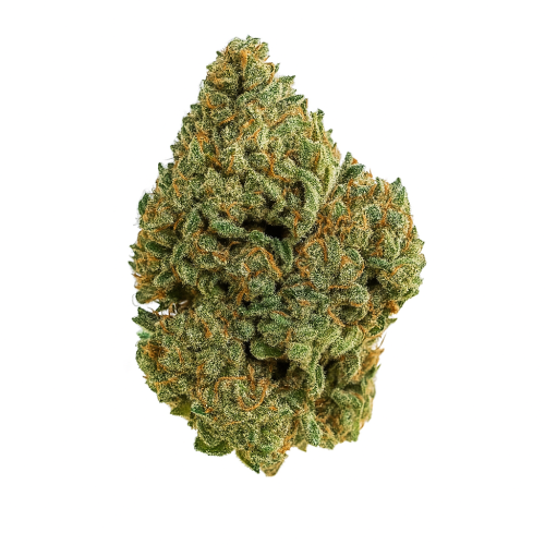 CBD květ konopí Pineapple Kush - legendární BZ1 - *Balení květu:: 1g - dóza Chubby | Rh&O2