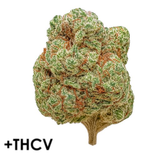 THCV květ konopí Orangello - Cali style