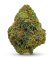 CBD květ konopí Suver Haze - Colorado USA